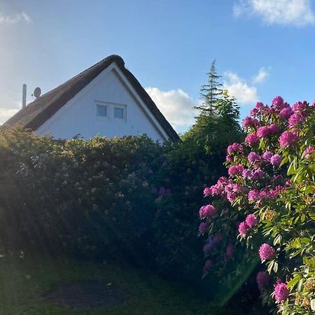Ferienhaus Butterblume Südbrookmerland Kültér fotó