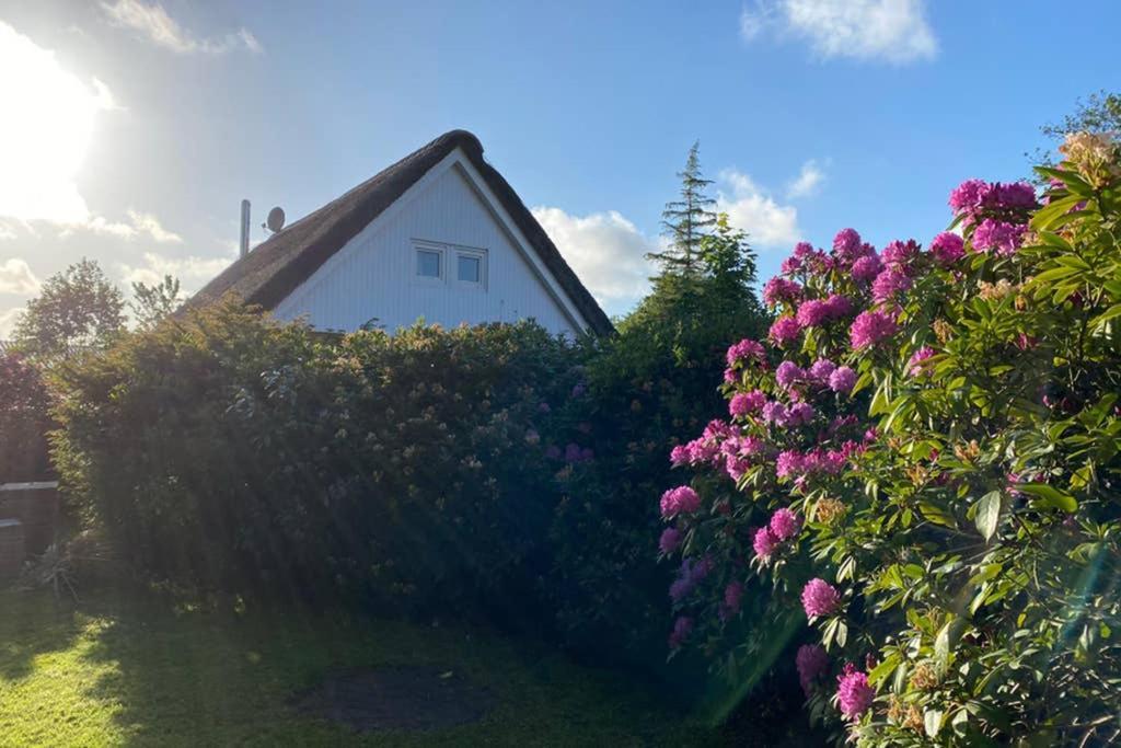 Ferienhaus Butterblume Südbrookmerland Kültér fotó